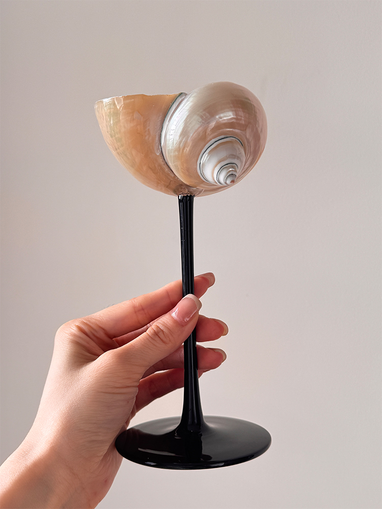 Natural Conch Shell Champagne  - Home Bar Set 评论和价格